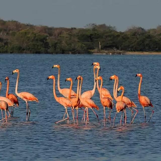 Euroamericas's tweet photo. #TweetStay by: @stayful Rt and Two of your followers will get a #VIP package to the Colombian Caribbean at no cost http://t.co/kpWJZNztkL