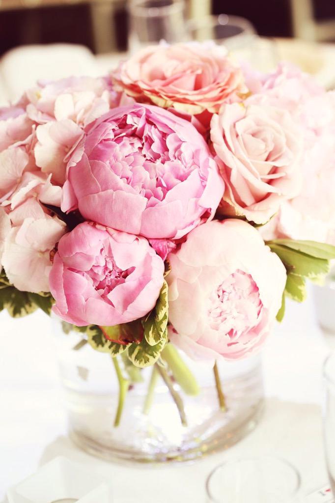 the_NY_prep's tweet photo. Way To My Heart. Peonies. http://t.co/Ffa0USkFl3
