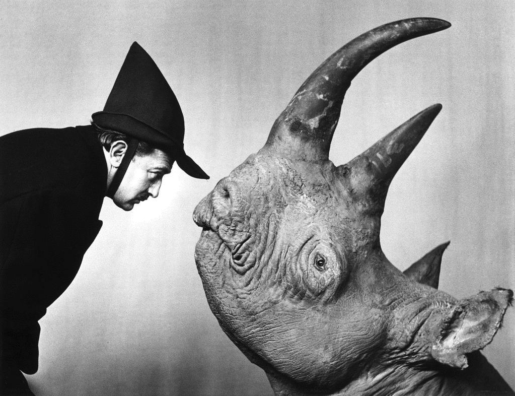 Meeting Your Rhinoceros #GreyCard causing you to stop and turn toward engaging politically once again. #cdnpoli #ygk