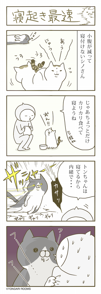 猫まんが。 