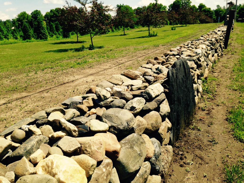 Creative Landscape tweet media