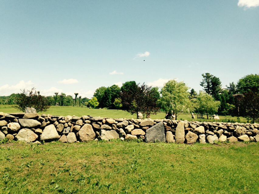 Creative Landscape tweet media