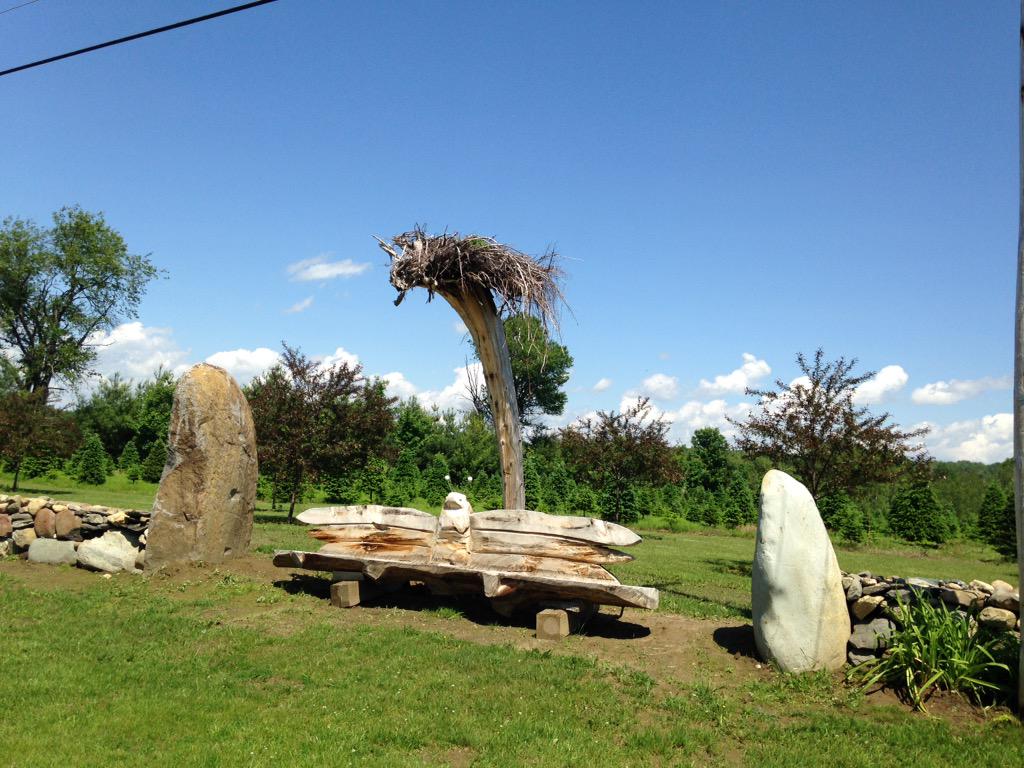 Creative Landscape tweet media