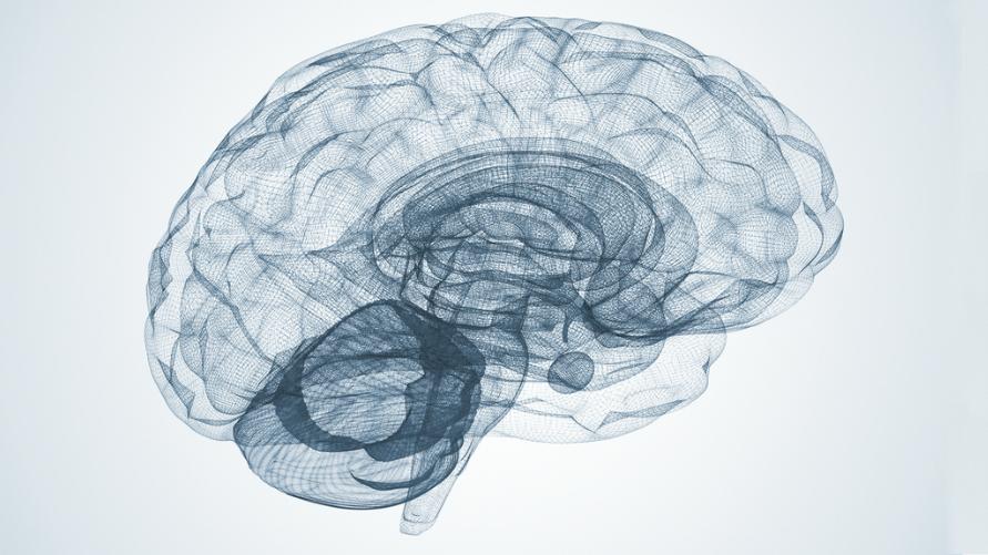 piscitelli's tweet photo. Great Nifty Infographic Introduction to Neuroplasticity and Cognitive Therapy http://t.co/aw7IRVE9Pe @ChmdDigital http://t.co/THn84R32xL