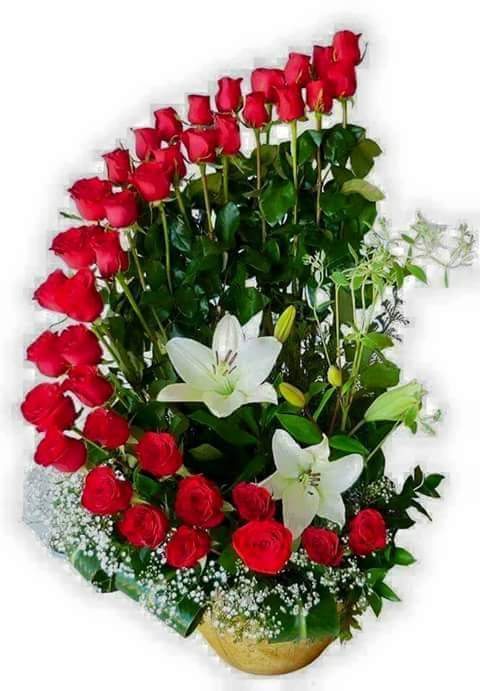 Respected Ban Ki-Moon, Jai Hind! Happy Birthday (14 June) ...Good Luck...regards..dr Madaan 