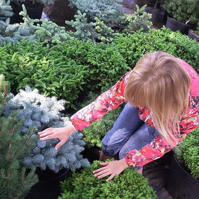 instaufa's tweet image. Мамин #рай - #садовыйцентр )) Уфимский #ботанический сад, ежесезонное посещени