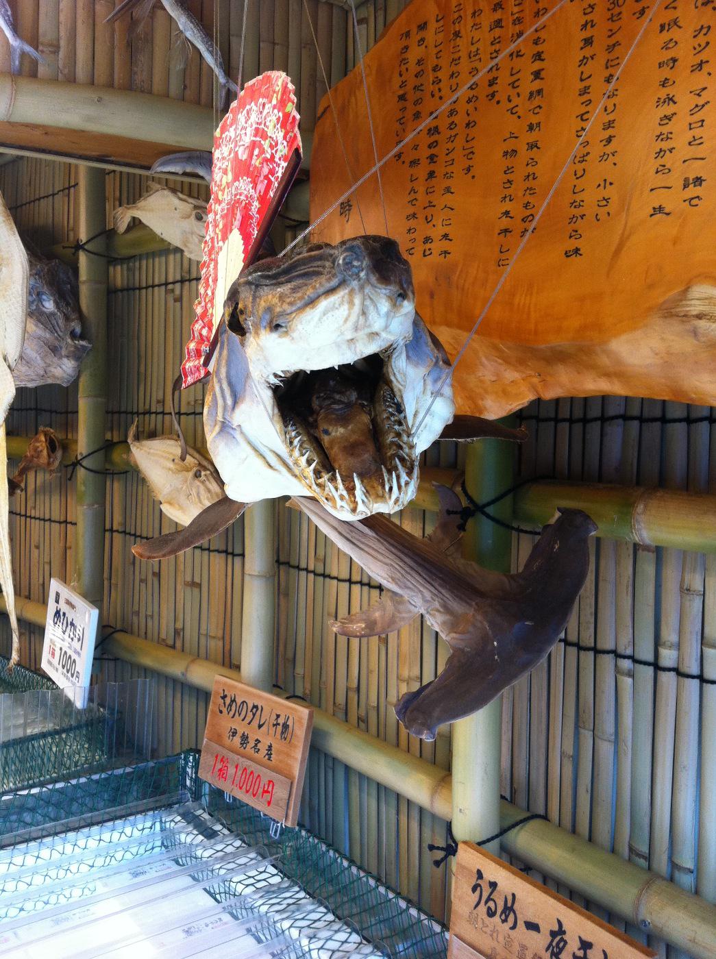 はにわや工房 ちなみに珍魚干物で有名 なおかげ横丁のひもの 塾も近く というほど近くもないけど ありますので 鳥羽水族館でスナドリネコ見て全然鳴かないイヌガエル見て限定ガチャ回して 伊勢おかげ横丁に移動して干物見て赤福氷食べるのがオススメです