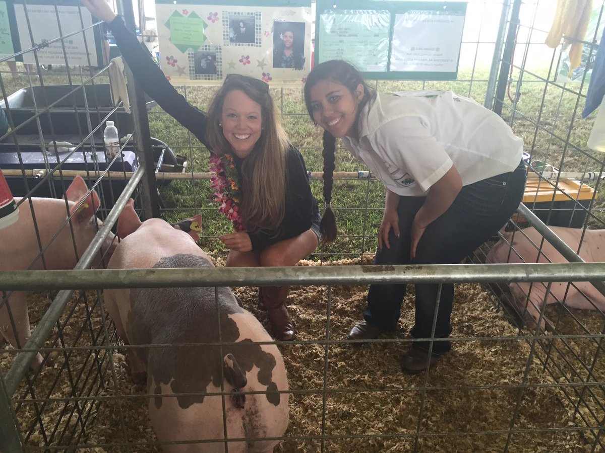 Happy to support Maui's 4H. We got the south end of a north bound hog!