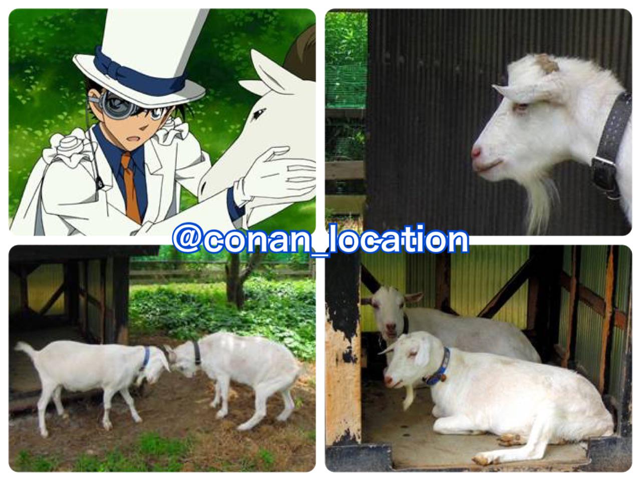 ট ইট র コナロケ 名探偵コナンロケ地 佐久島のヤギ ノンとビリー 天空の難破船より ご存知 いつもノン ビリーとしてる佐久島のヤギさん 笑 キッドみたいに撫でてみたい Http T Co Bfrv6daflb