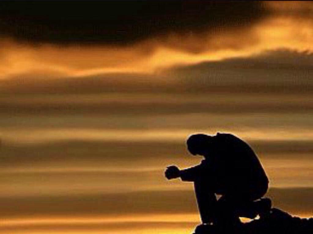 محمد العـــنزي tweet media