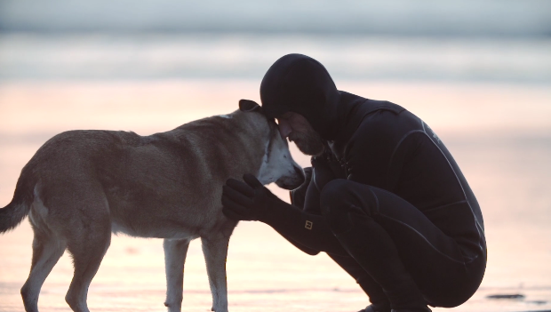 glamourmag's tweet photo. The heartwarming story of one dog and his man (warning: Have tissues close by) http://t.co/MNyQrV70ZQ http://t.co/VSSY1yTbyc