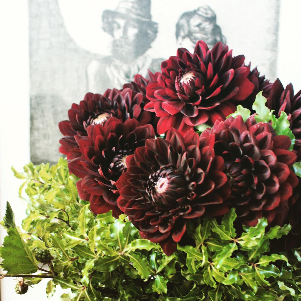 untitledflorist's tweet photo. #Blood red #dahlias pictured next to a #WolfevonLenkiewicz http://t.co/wUsMjDyBJy