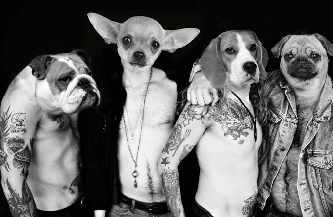 Almost ready for the studio. Our debut album is going to be insane. In a very bad way. <a href="/GodCityStudio/">GodCity Studio</a> #stupidrock