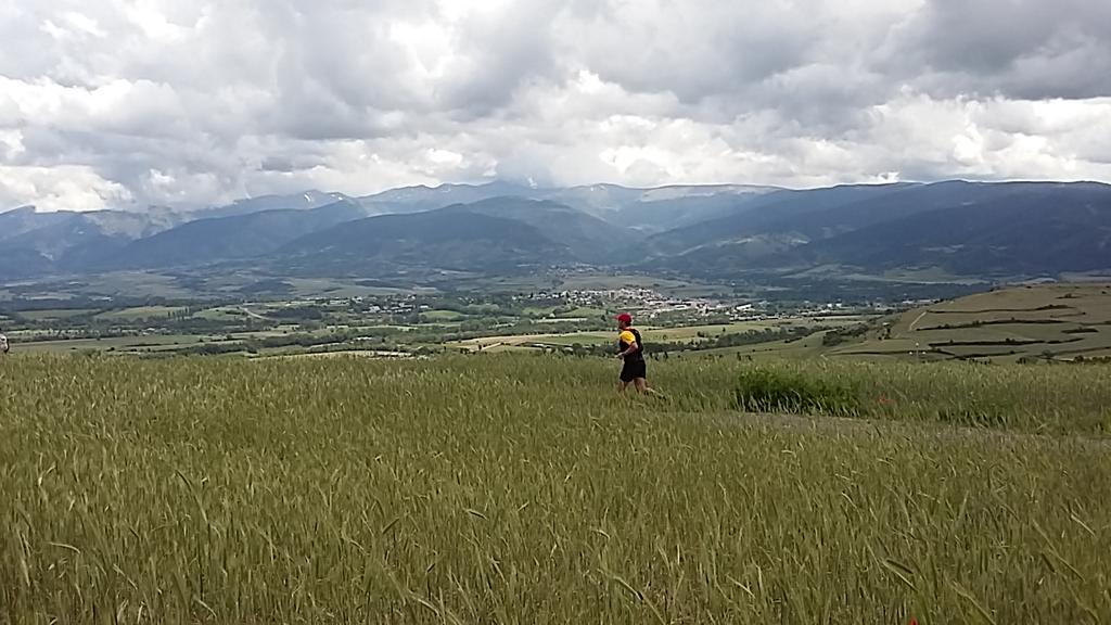 Ultra Cerdanya tweet media