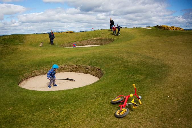 Irish Gypsy tweet media