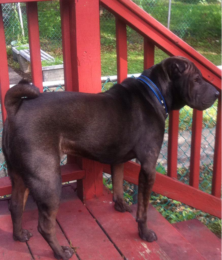 Rayfield Yarbrough Twitter