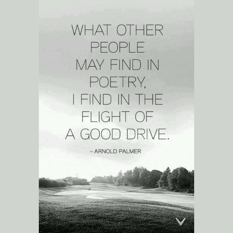 Hornets Golf (@mehsgolf) on Twitter photo 