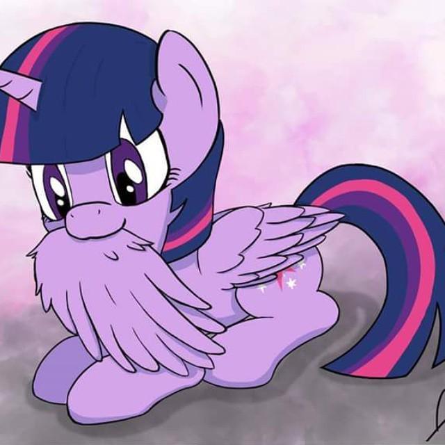 TwiFanClub's tweet photo. #twilightsparkle #mlp #brony #broneis #pegasister by bronypage15 http://t.co/xARnaxwh6I