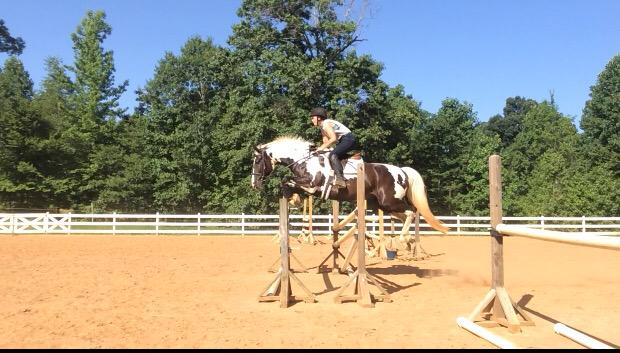 InsideTurn's tweet image. Pirate spam