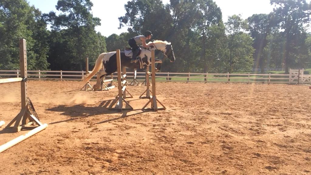 InsideTurn's tweet image. Pirate spam