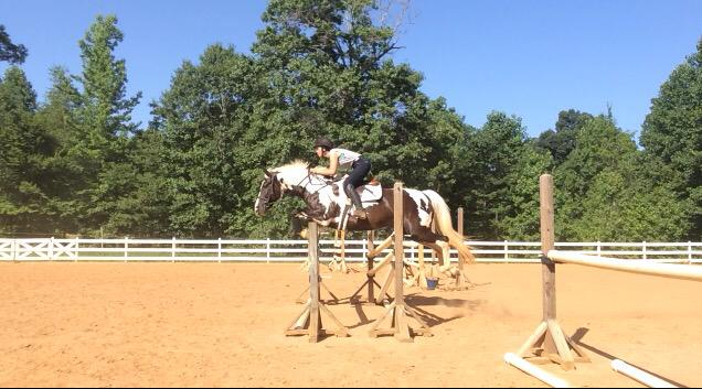 InsideTurn's tweet image. Pirate spam