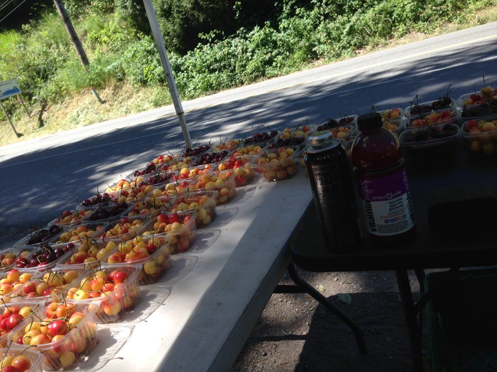 Tony Lundquist (@cherryguy_24) on Twitter photo 