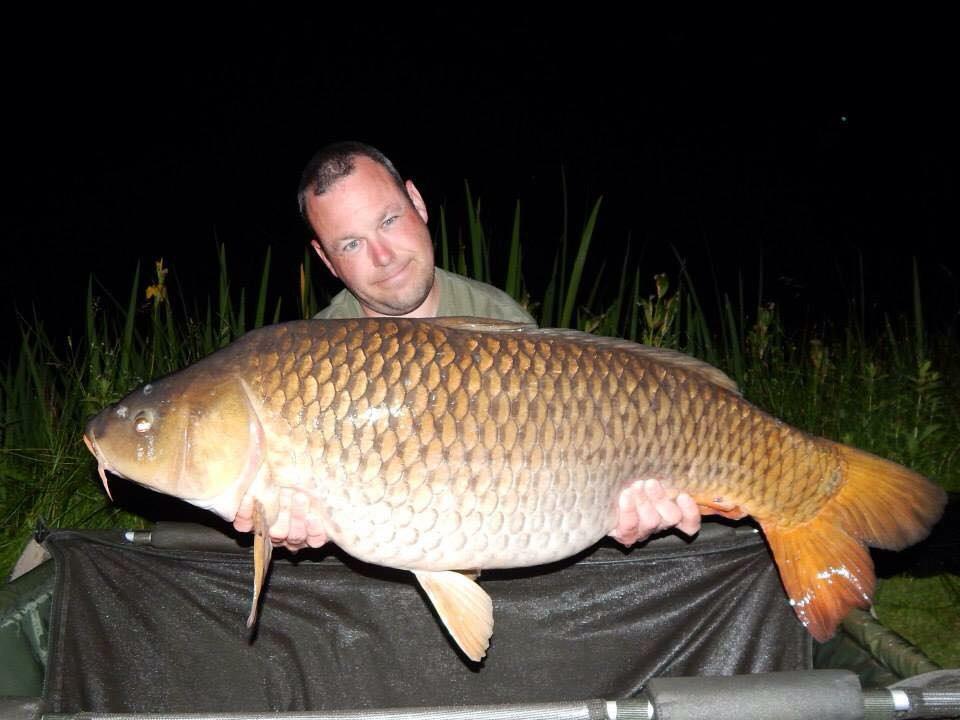 impactbaits's tweet image. 