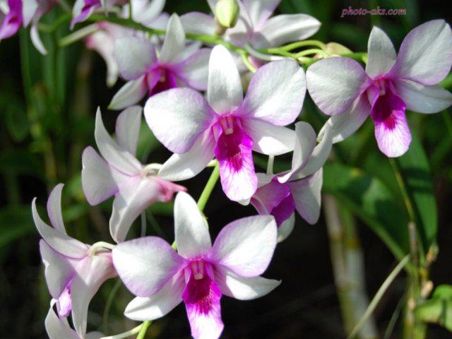 HasanyMohsen's tweet photo. @razenahani2 thx 4 follow me http://t.co/fwc57yXkq4