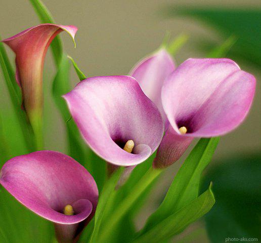 HasanyMohsen's tweet photo. @GMKemp thx 4 follow me http://t.co/1CHIKG7TGx