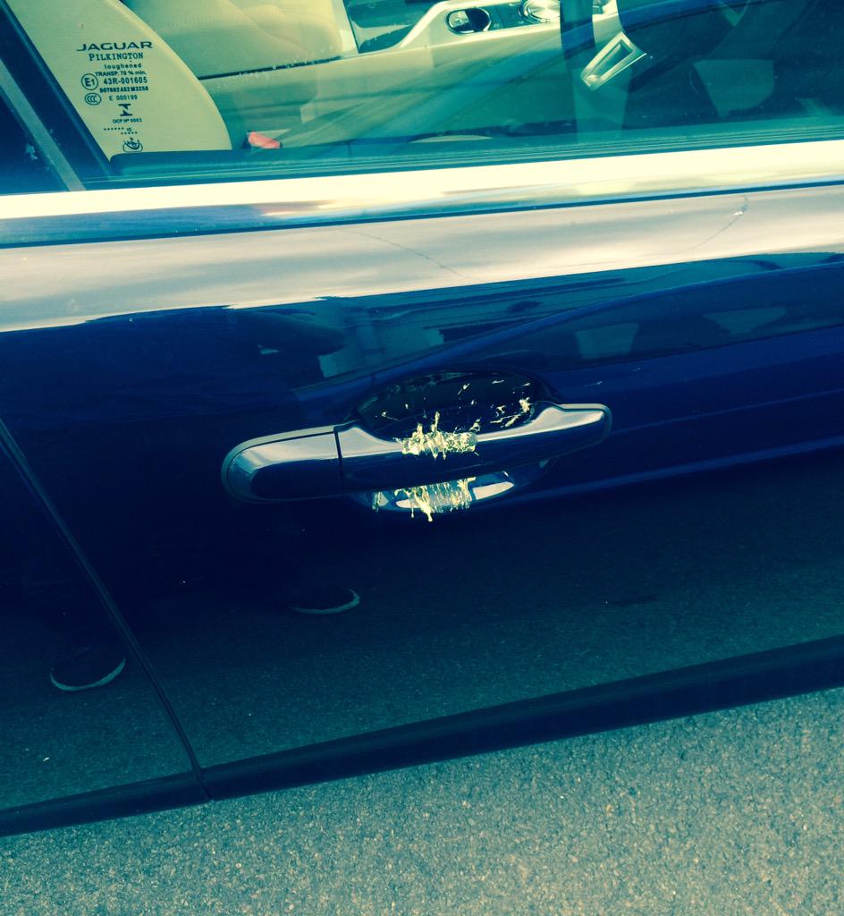 mjk505's tweet photo. How to get in the car after a bird has exploded over your door handle. #shitmess http://t.co/Chs8yyPh8W