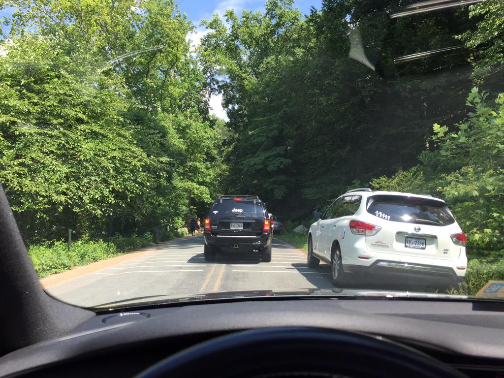 What's the major malfunction at Pony Pasture?