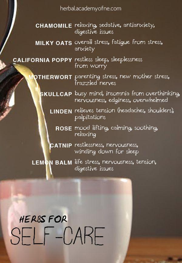 O2plan's tweet image. Best herbs for stress relief and relaxation //