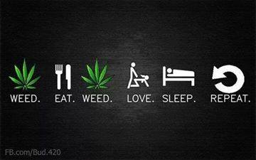 Petey_Popoff's tweet image. Life #kushflow