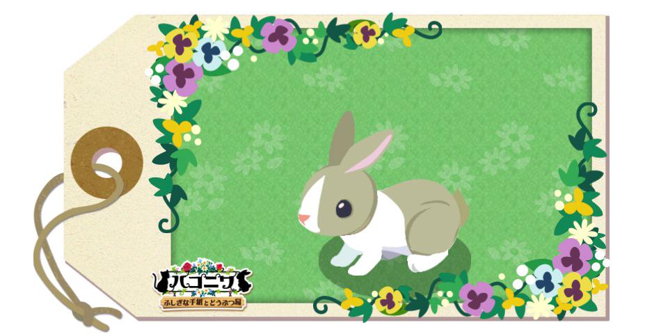 0830DJMJ's tweet photo. ダッチうさぎ可愛すぎワロタwww　ゲームのダウンロードはこちら→ http://t.co/Ek8s3OcHE0　フレンドコード:Fd6jj5H　#新ハコニワ http://t.co/UEAssnzqwH