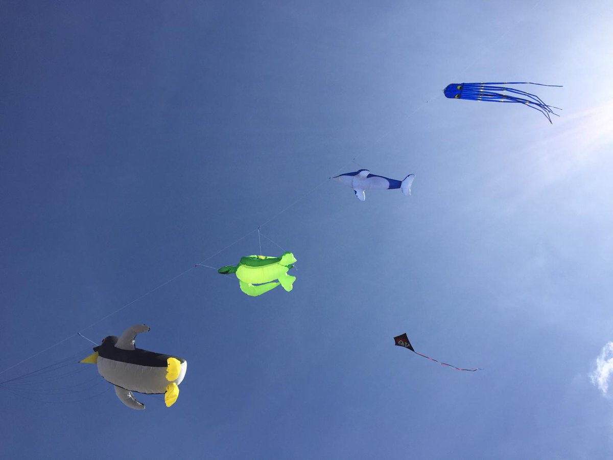 robgerard's tweet photo. Beautiful here @DublinKite Festival #KiteFest #Dublin @98FM #free #familyfun http://t.co/pINXIi3ufV