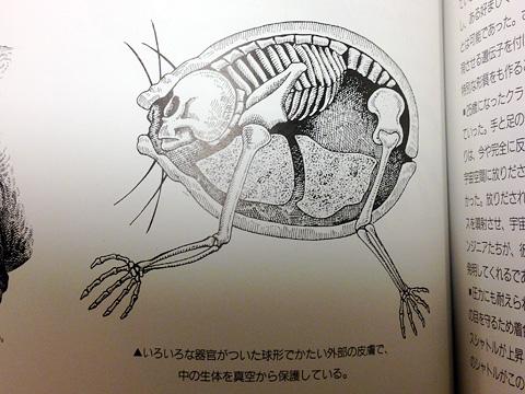 しにべん on X: しにべん on X: