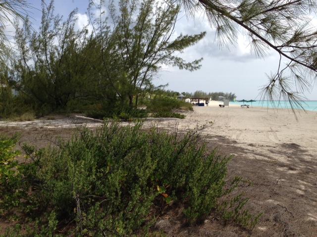 SandOceanCM tweet picture