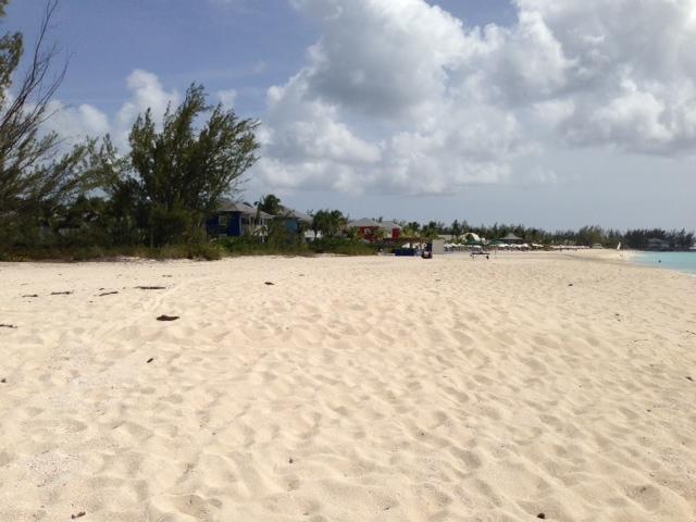 SandOceanCM tweet picture
