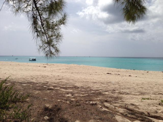 SandOceanCM tweet picture