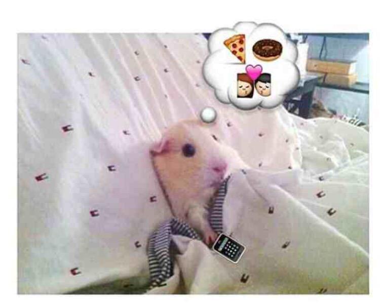 charwright123's tweet photo. @alysejones93 us weds! Hahaha 😂 can't wait http://t.co/4QJsvQo2DZ