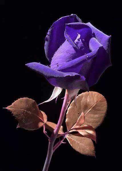 5465Arnold's tweet photo. http://t.co/VNrCmFmmIN