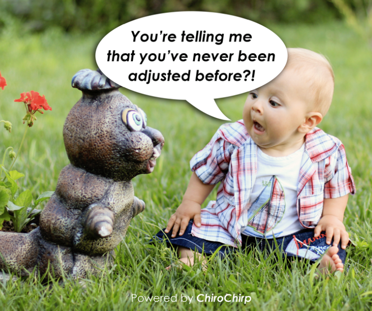 Miller_Chiro tweet picture