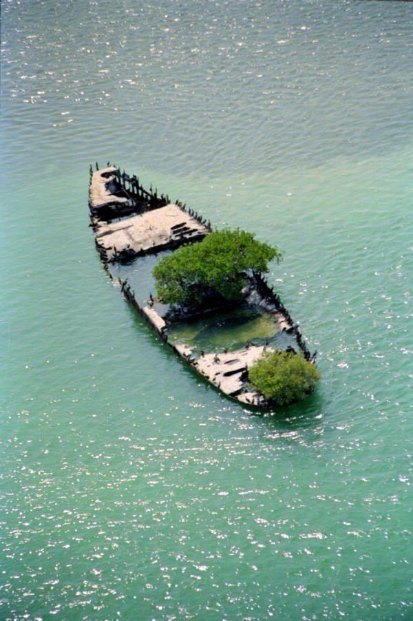 unfoundhouse's tweet photo. Nature always finds a way... http://t.co/eUvUYgFE11
