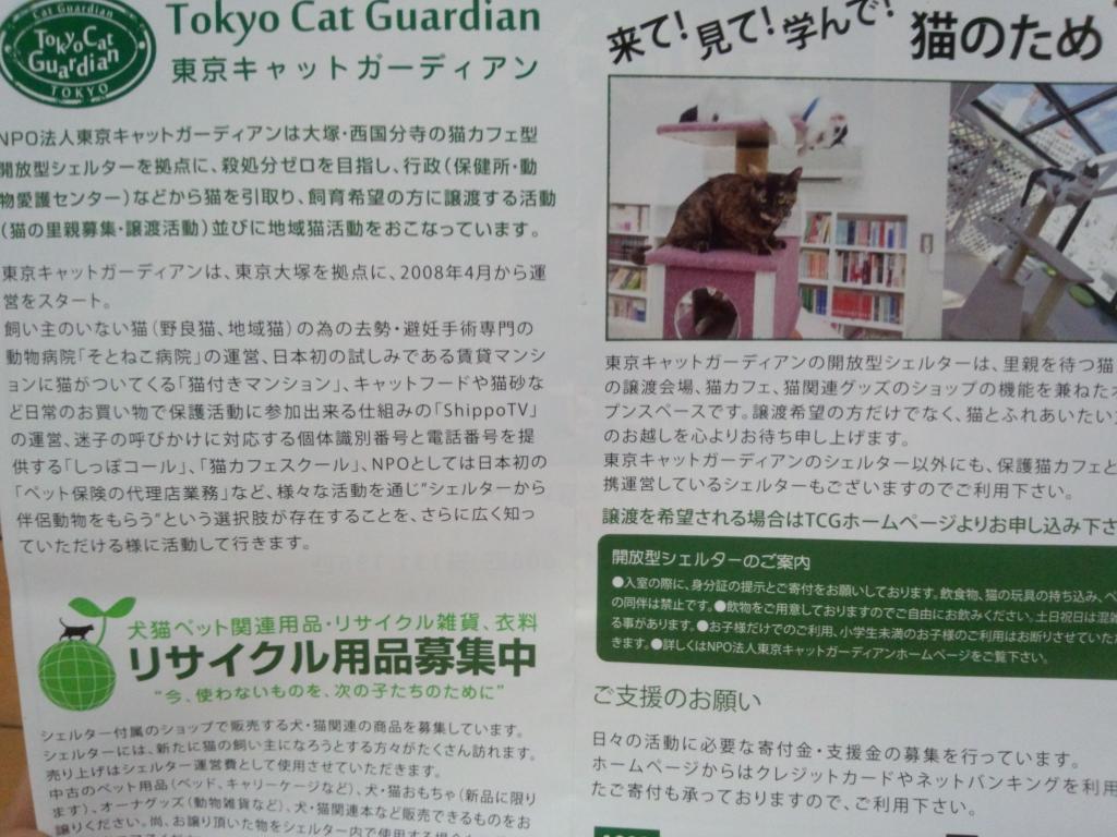nukodesu22's tweet photo. 今日は、友達とある場所に行ってきたよ！
ここは、普通の猫カフェじゃなくて、保健所で殺される直前だった猫達を引き取り、新しい飼い主が見つかるまで保護している猫カフェ。
応援したいから、寄付して来た！
殺処分が無くなりますように(>_<) http://t.co/GcWlcyZsAD