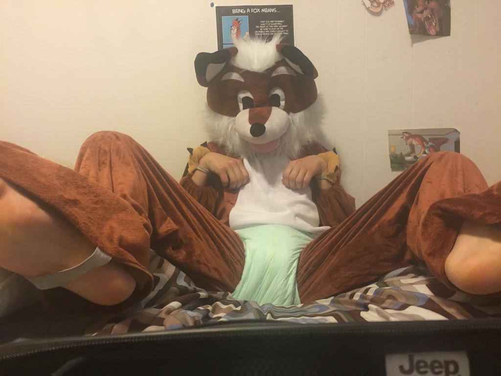 LittlestBigKit's tweet photo. Changies? #Furry #fursuit #babyfur #cubfur #diaperfur #padded #ABDL #PaddedFurs #yiff #cubgate #sexysunday #yiffy #DM http://t.co/2Xvs4u7QRL