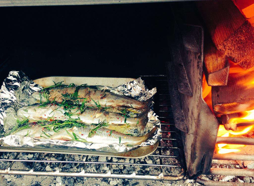 TheBraaiMan's tweet photo. Pollock! #braai #BarbecueWithBrawn http://t.co/2yacGNFv0x