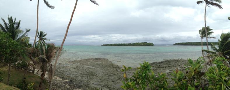 Drew_Lab's tweet photo. #FieldSiteFaceOff #CUinFiji15 http://t.co/bsbQf6pdIv
