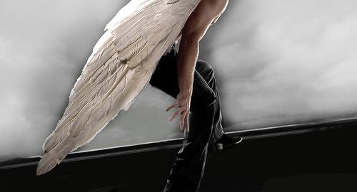 newsSH_ES's tweet image. Dominic como Jace (fanart)