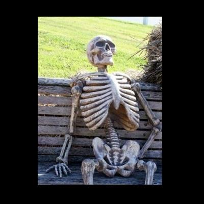 haidooo96's tweet image. Still waiting for @Snapchat to come on windows store. @evanspiegel @snapchatsupport #giveussnapchat #SnapchatforWP