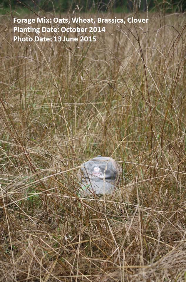 MSUDeerLab tweet media